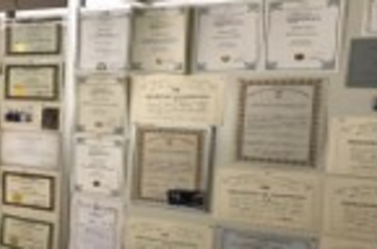 サンプルテキスト