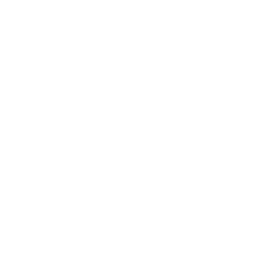 外反母趾専門（距骨調整）